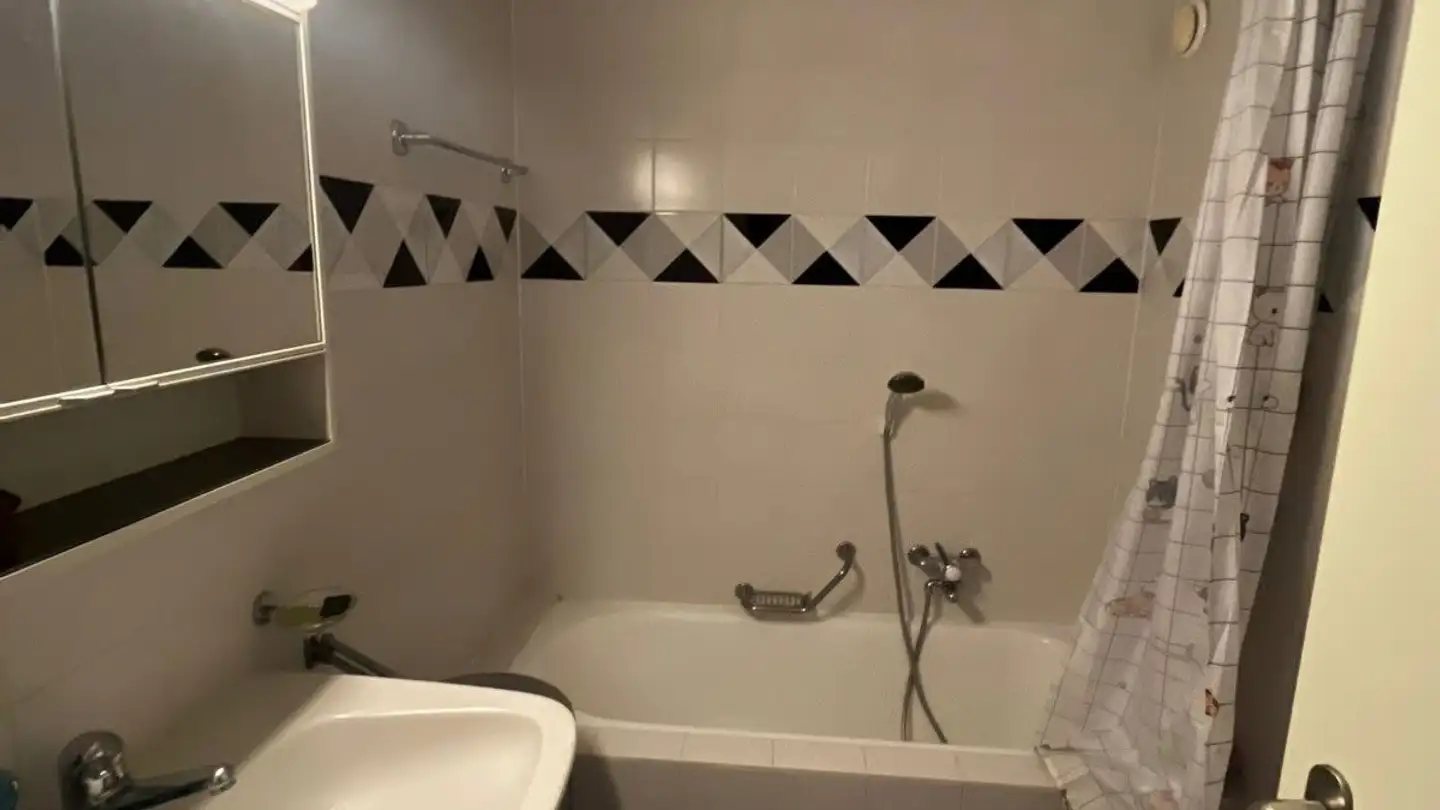 Appartamento in affitto - Rue Viollier, 1207 Genève - Foto 4