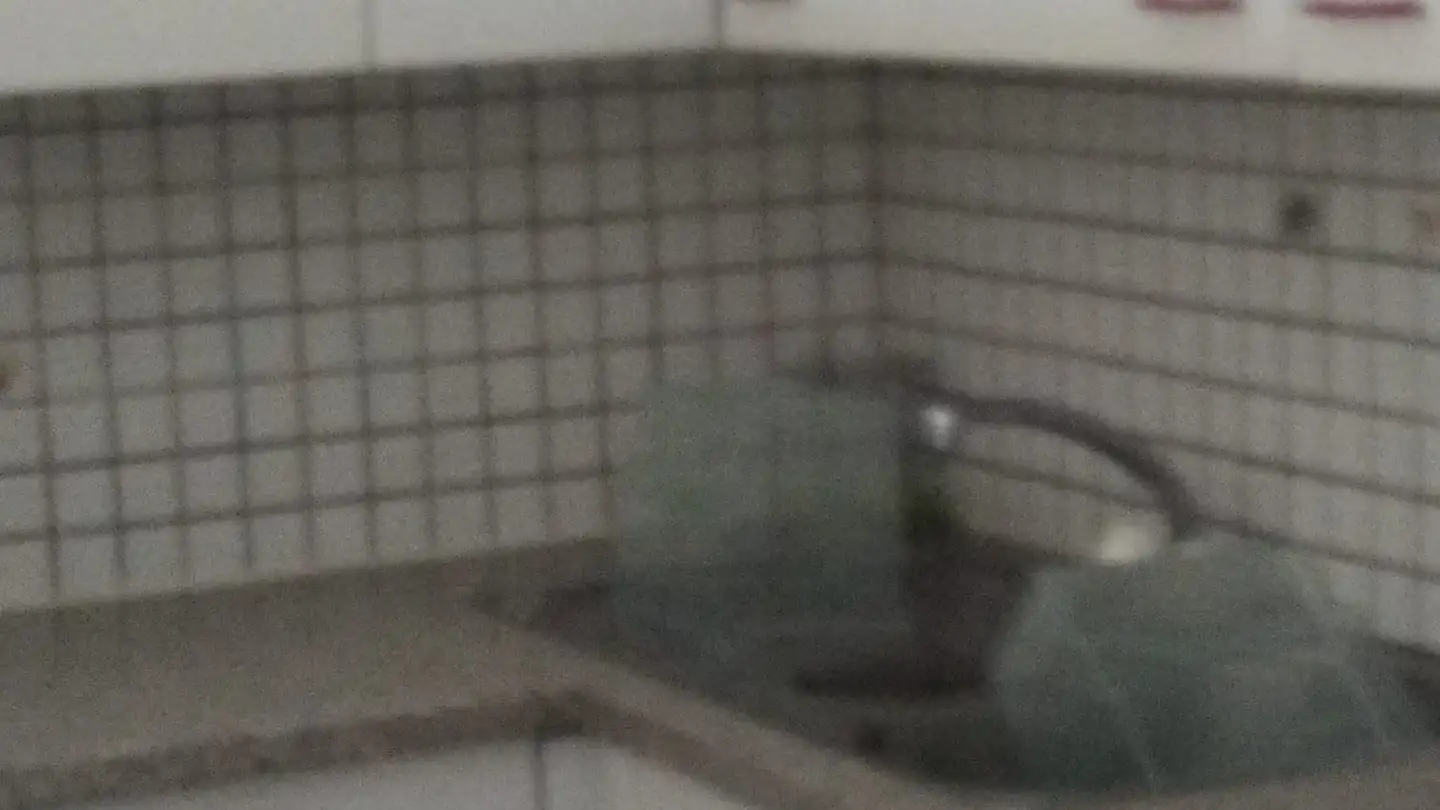 Apartment for rent - Via Ai Chiossi, 6518 Gorduno