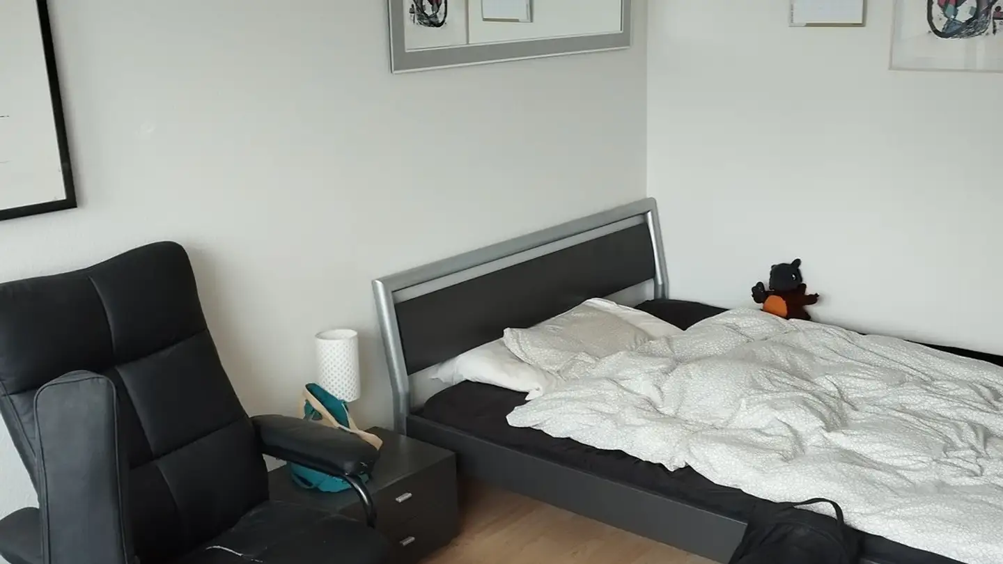 Appartement meublé à louer - Badenerstrasse 414, 8004 Zürich - Photo 2