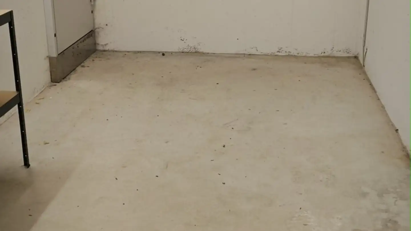 Garage singolo in affitto - Wiggerweg 6, 4802 Strengelbach - Photo 2