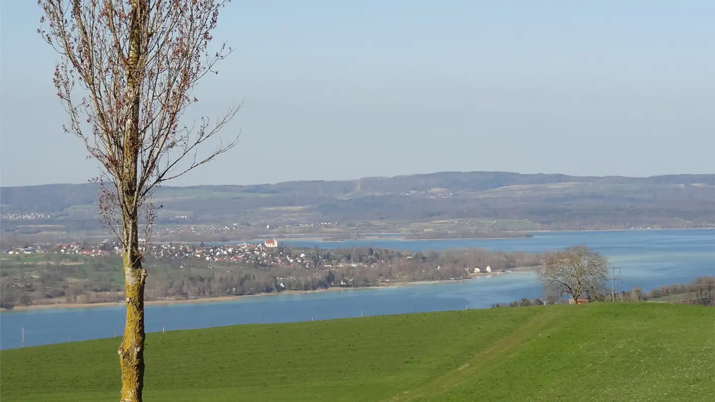 Apartment for rent - Tägermoosstrasse 6, 8507 Hörhausen