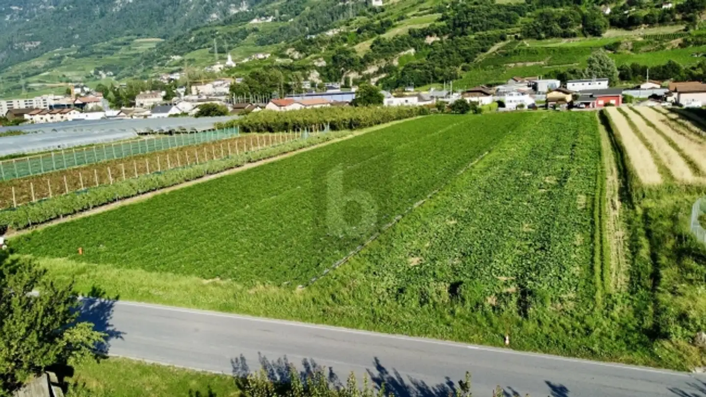 Terrain industriel à vendre - 1907 Saxon