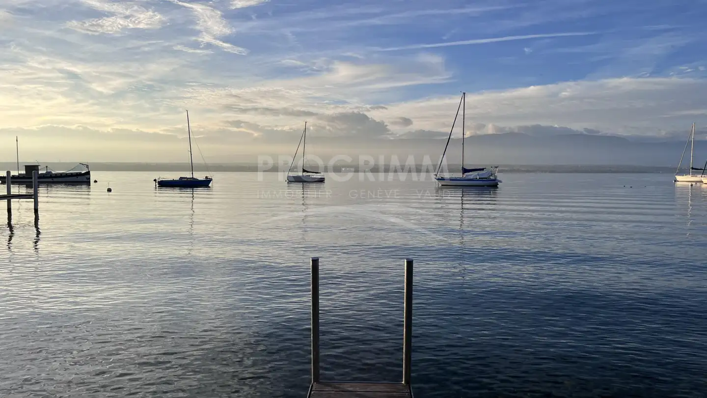 Single house for sale - 1245 Collonge-Bellerive