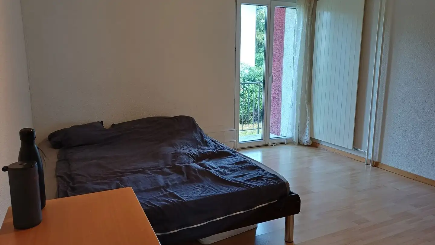 Single room for rent - Luegislandstrasse 337, 8051 Zürich - Photo 2