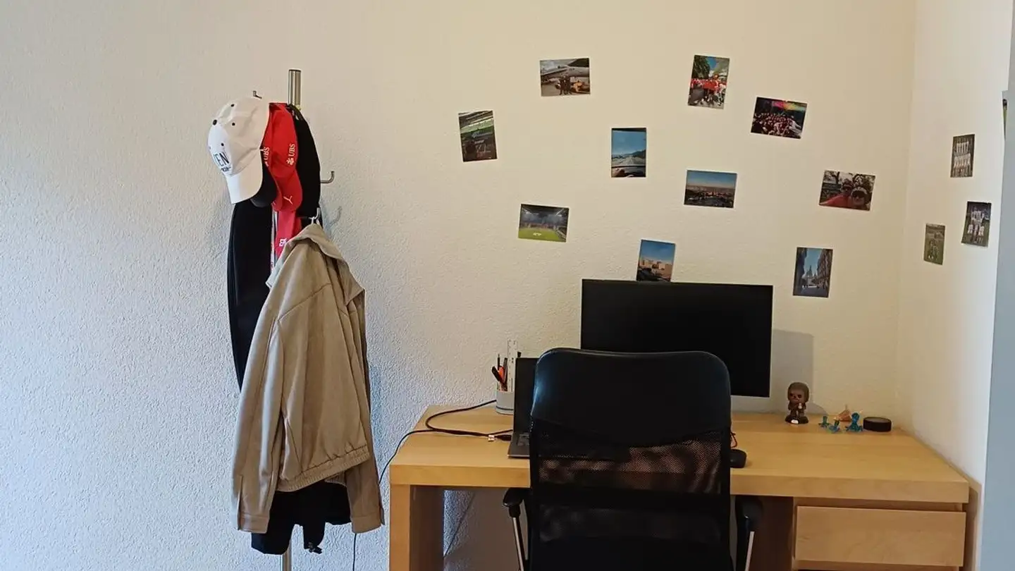 Single room for rent - Luegislandstrasse 337, 8051 Zürich - Photo 3