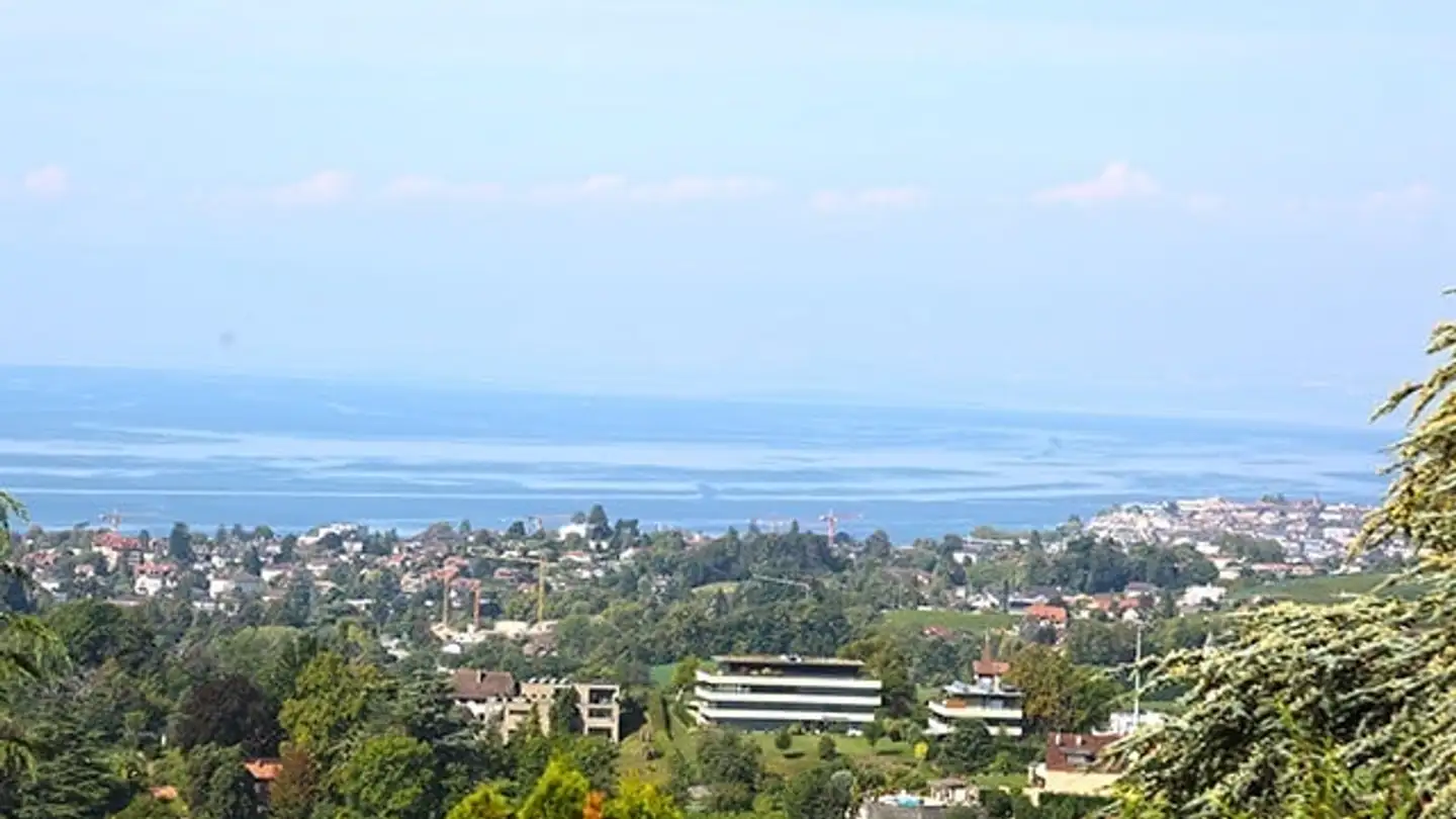Duplex for sale - 1820 Montreux - Photo 2