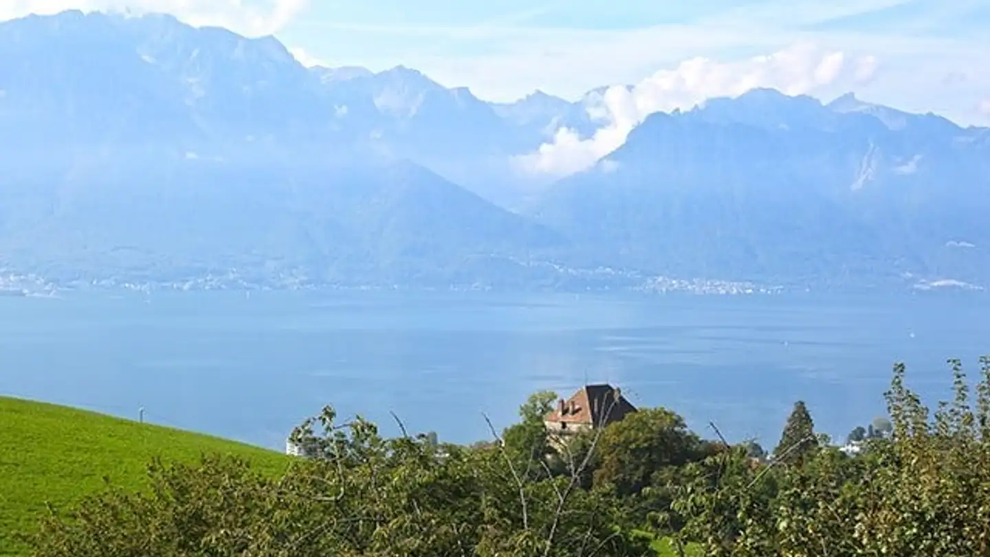 Duplex for sale - 1820 Montreux - Photo 3