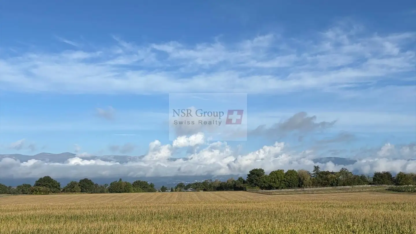 Appartamento in affitto - 1252 Meinier - Photo 2