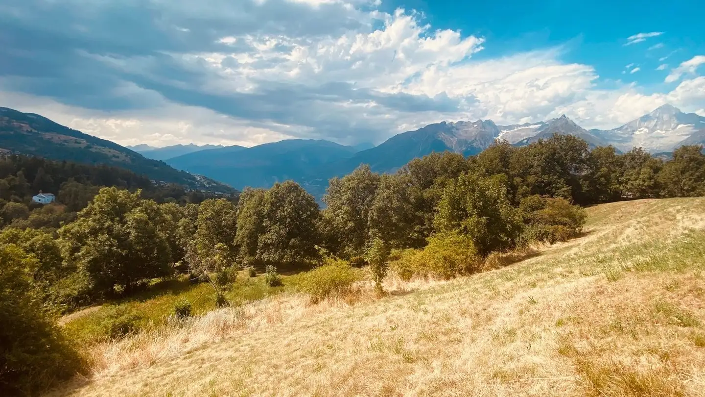 Bauland kaufen - Bodenstrasse 7, 3935 Bürchen - Foto 2