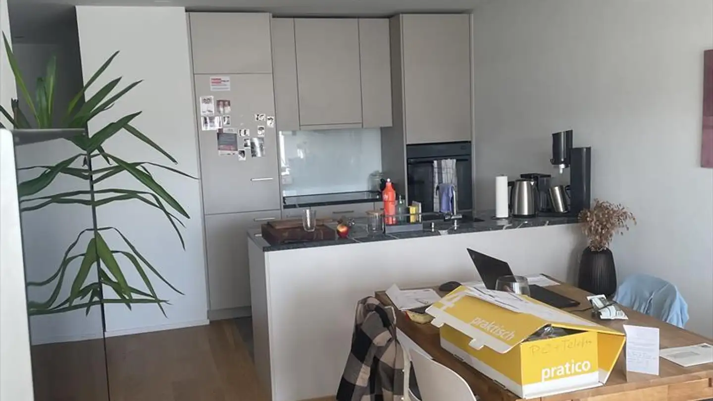 Appartement à louer - Zelgweg 19, 8500 Frauenfeld