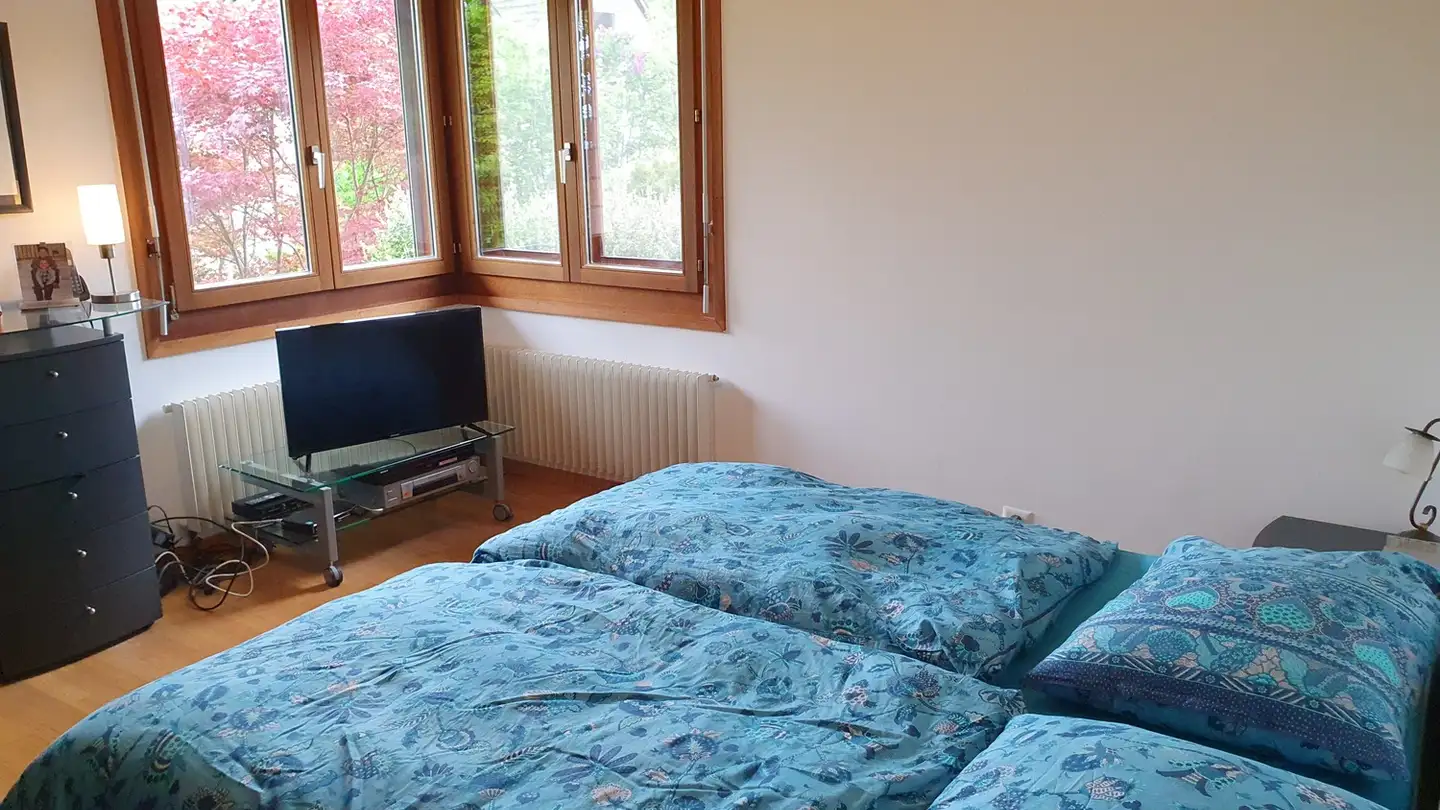 Maison individuelle à vendre - Burgweg 29, 4148 Pfeffingen - Photo 4