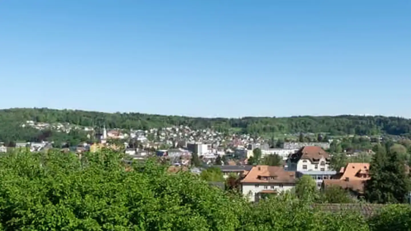 Maison individuelle à vendre - Stiftsherrenstrasse 39, 5013 Niedergösgen - Photo 3