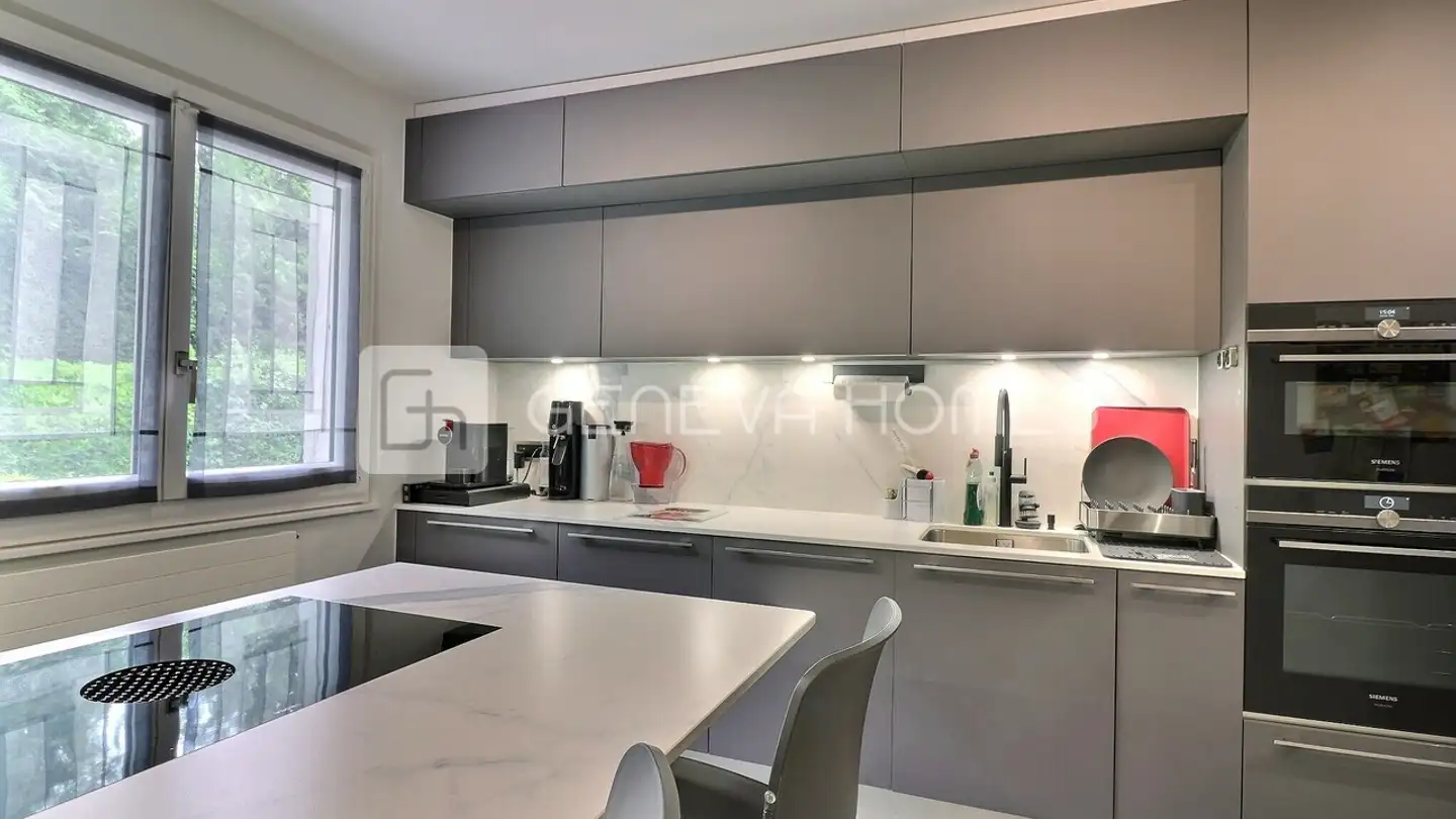 Einfamilienhaus kaufen - 1234 Vessy - Foto 3