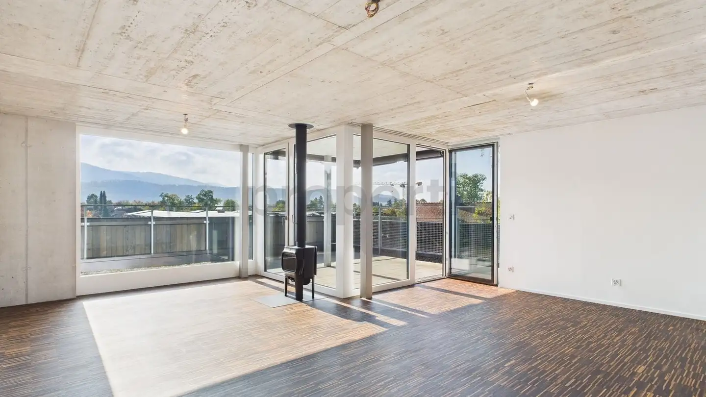 Penthouse for rent - 4106 Therwil