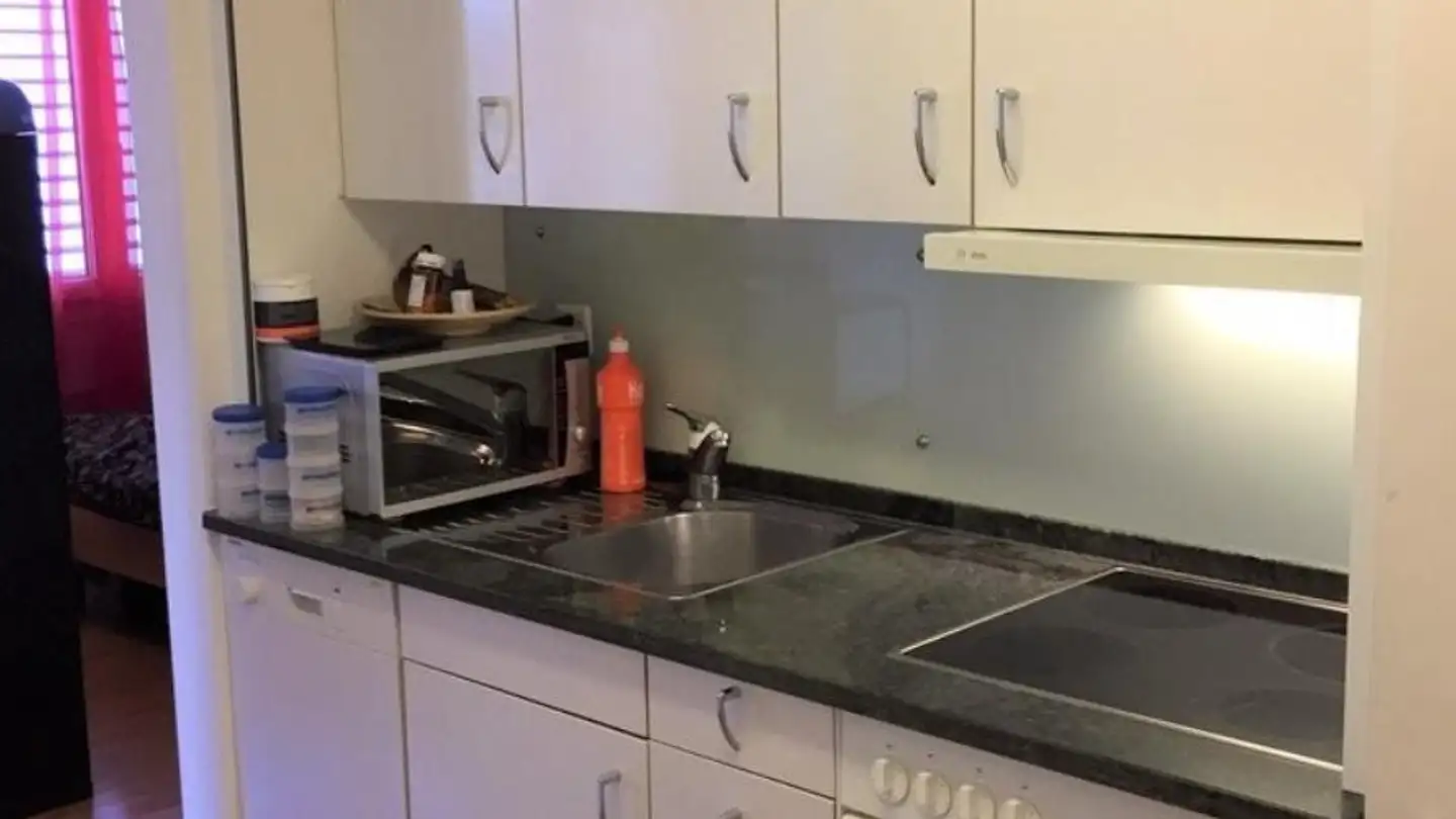 Apartment for rent - Unterlachenstrasse 17, 6005 Luzern - Photo 2