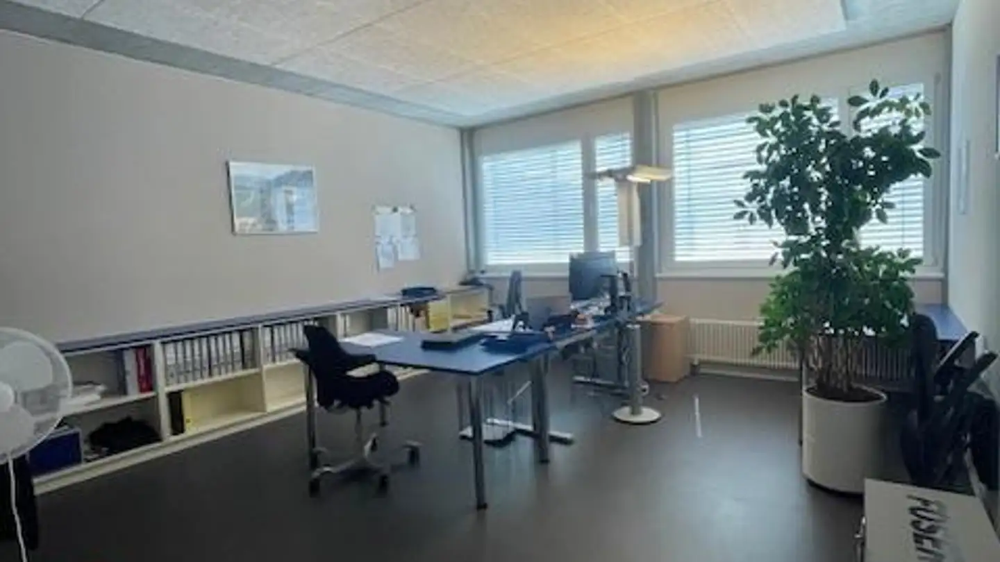 Commerciale in affitto - Karlihofstrasse 7, 7208 Malans GR - Photo 3