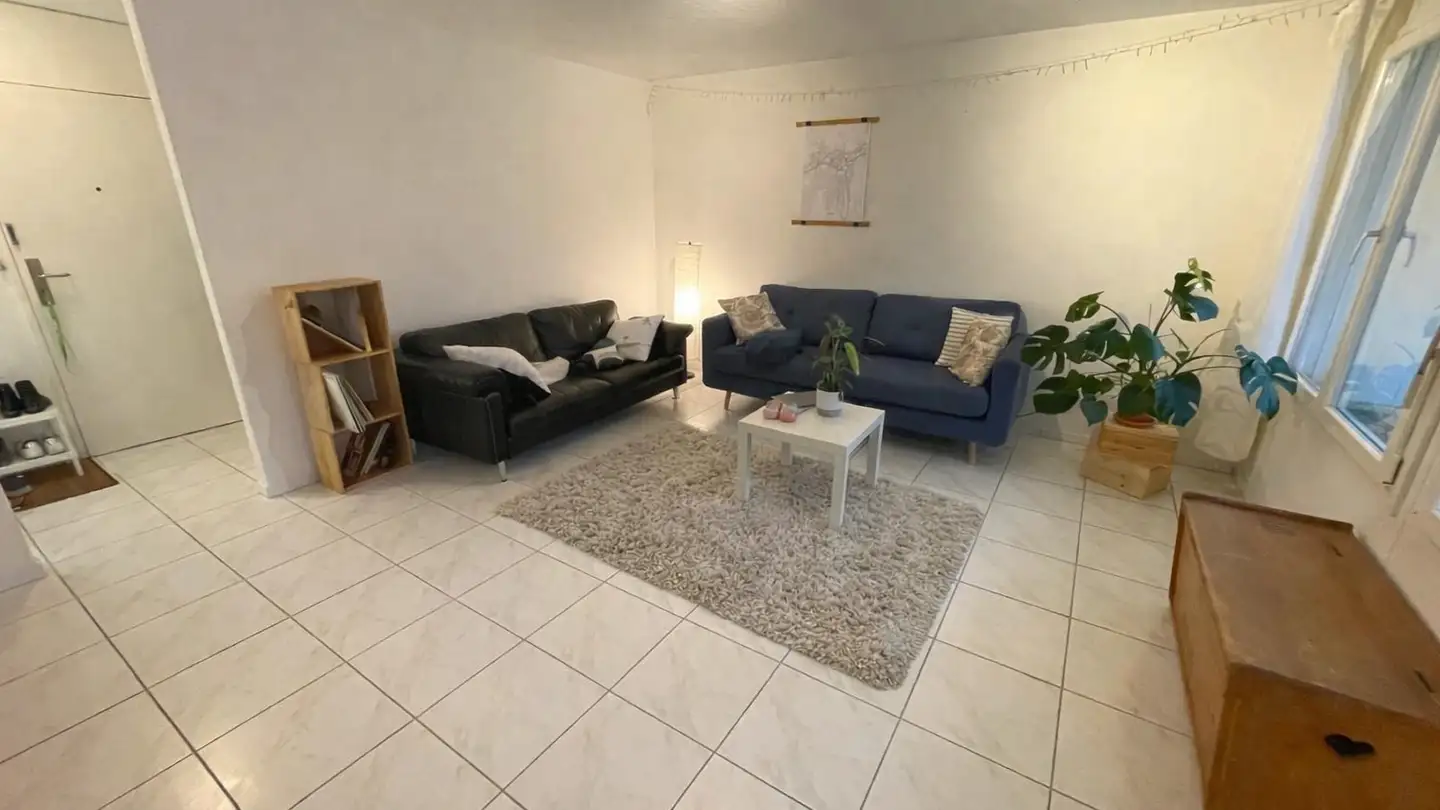 Wohnung mieten - Birkenstrasse 13, 6003 Luzern