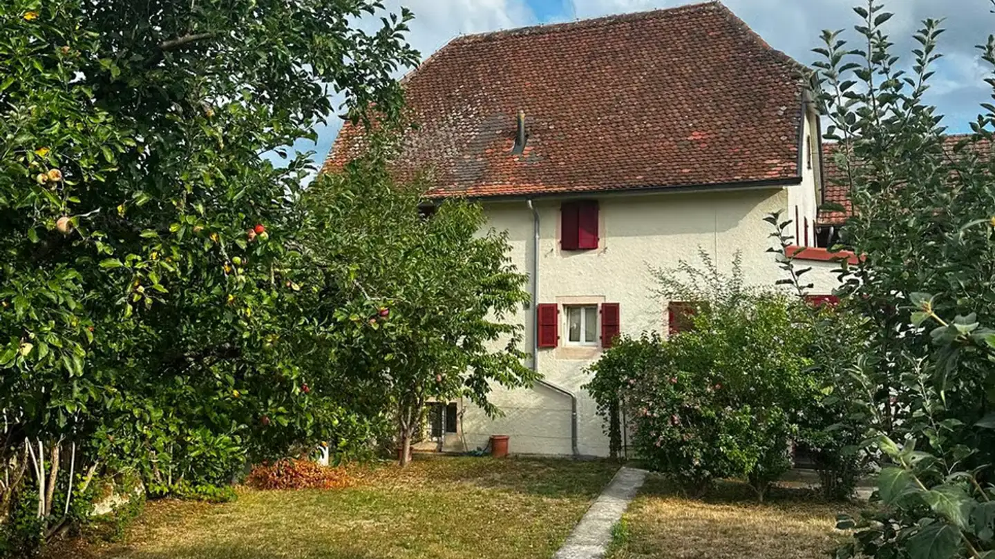 Casa singola in affitto - Rue de l'Abbaye 5, 2854 Bassecourt