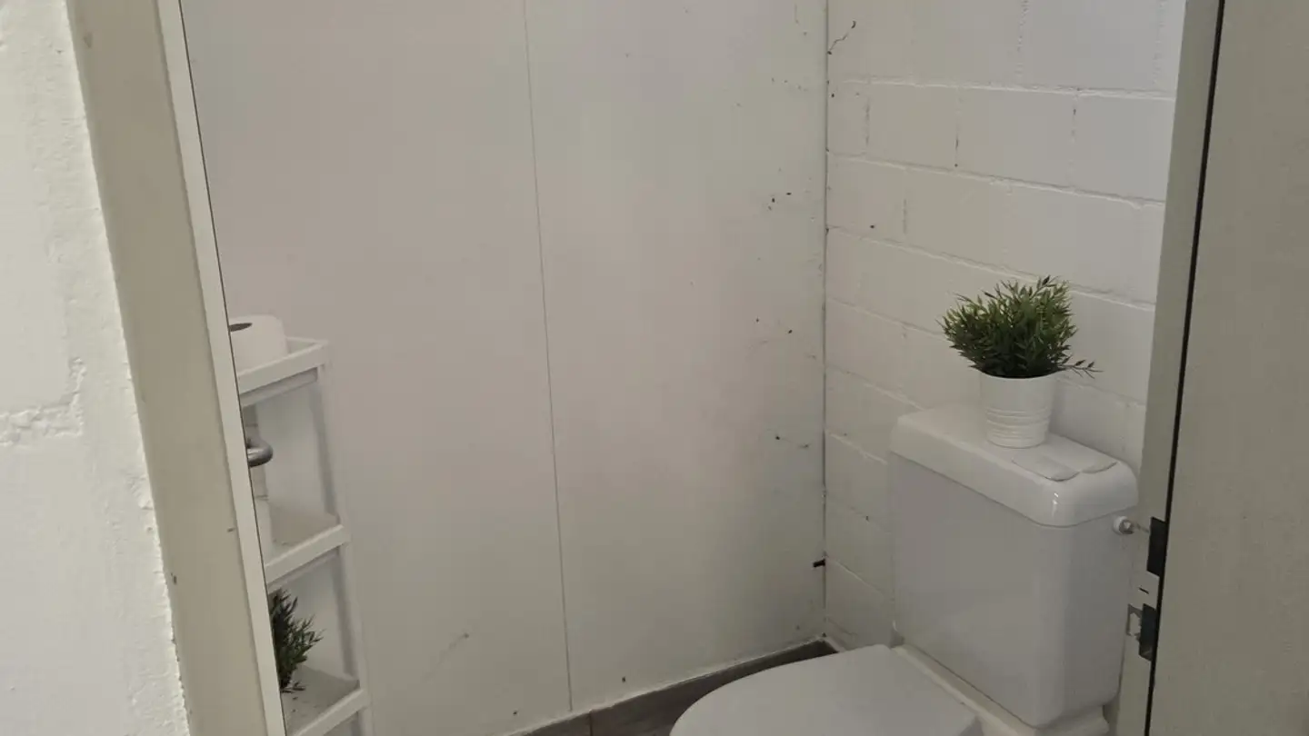 Commercial for rent - 8820 Wädenswil - Photo 2