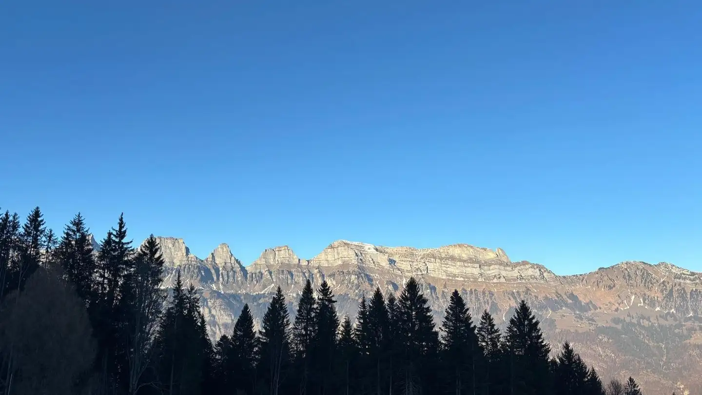 Apartment for rent - Flubastrasse, 8898 Flumserberg Tannenbodenalp - Photo 2