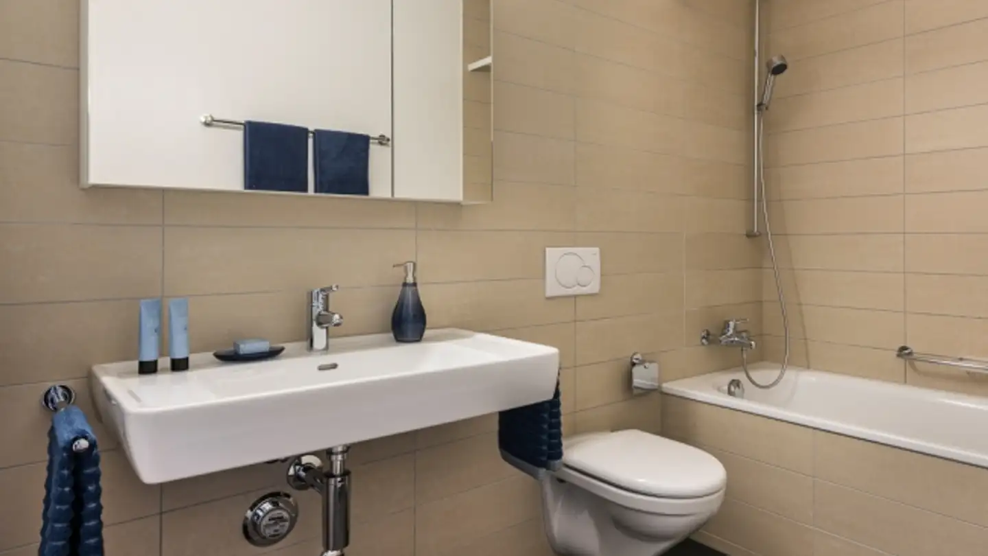 Attique à louer - Seuzacherstrasse 13a, 8400 Winterthur - Photo 4