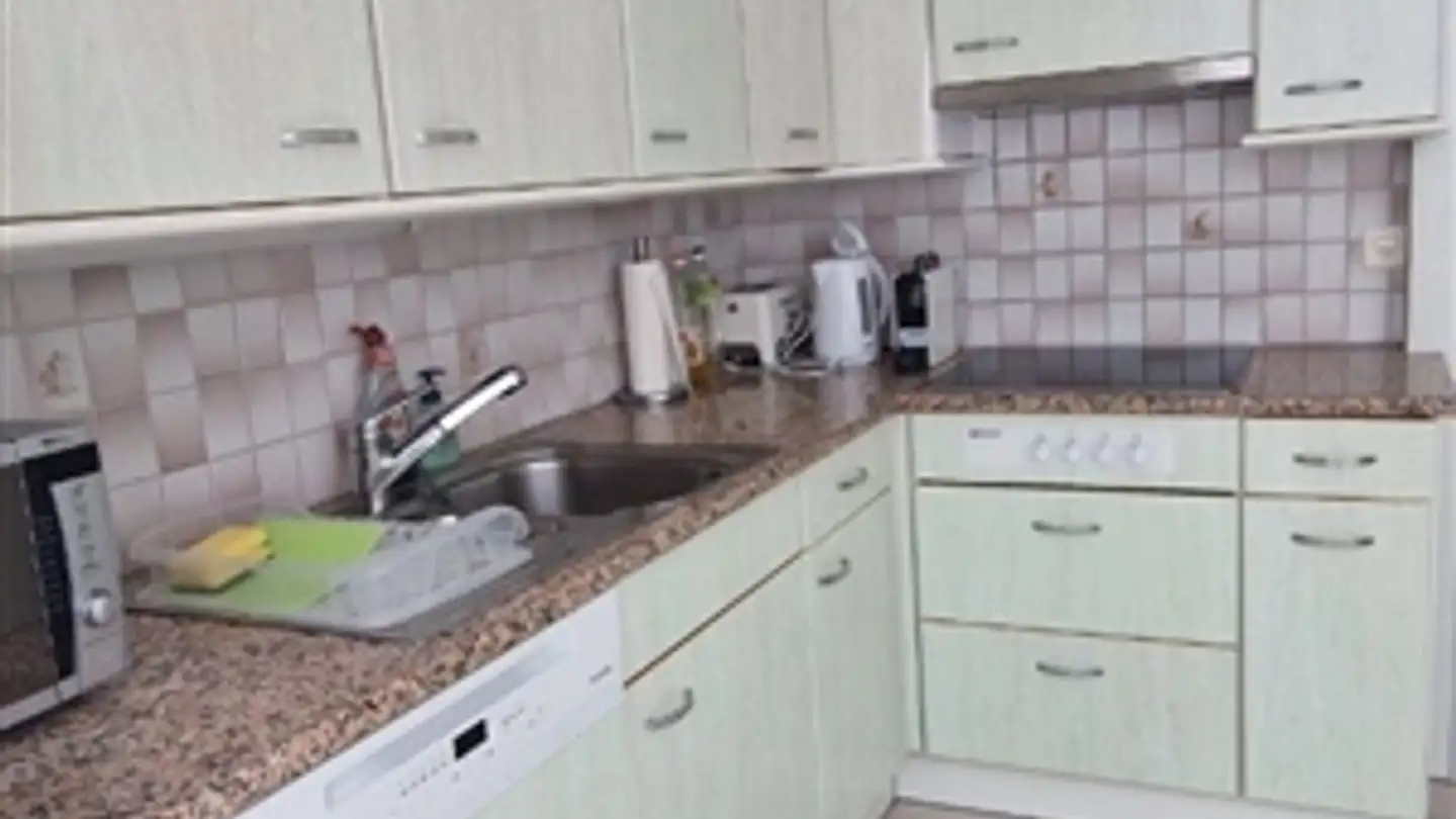 Appartamento ammobiliato in affitto - 8246 Langwiesen - Photo 3