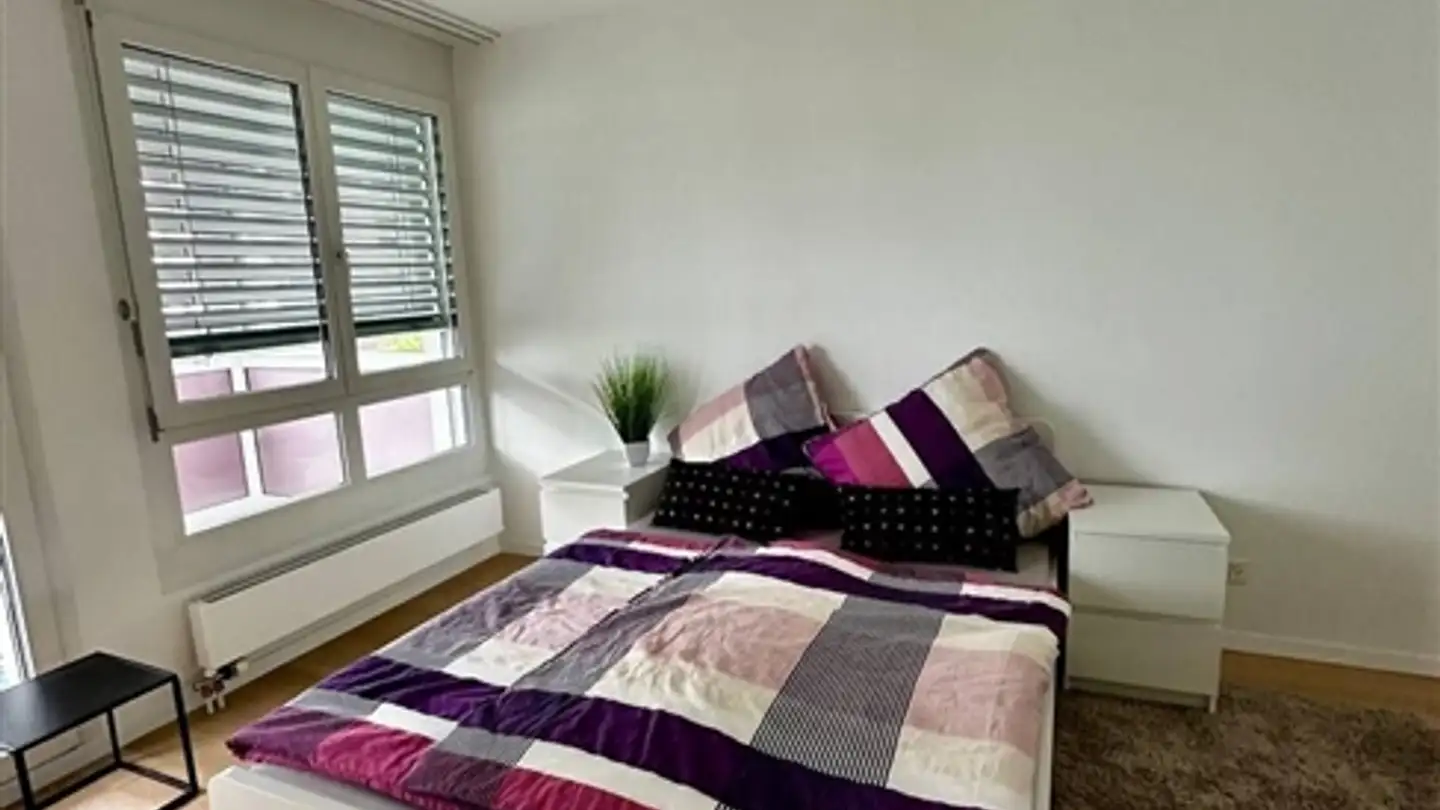 Appartamento ammobiliato in affitto - 8246 Langwiesen - Photo 4