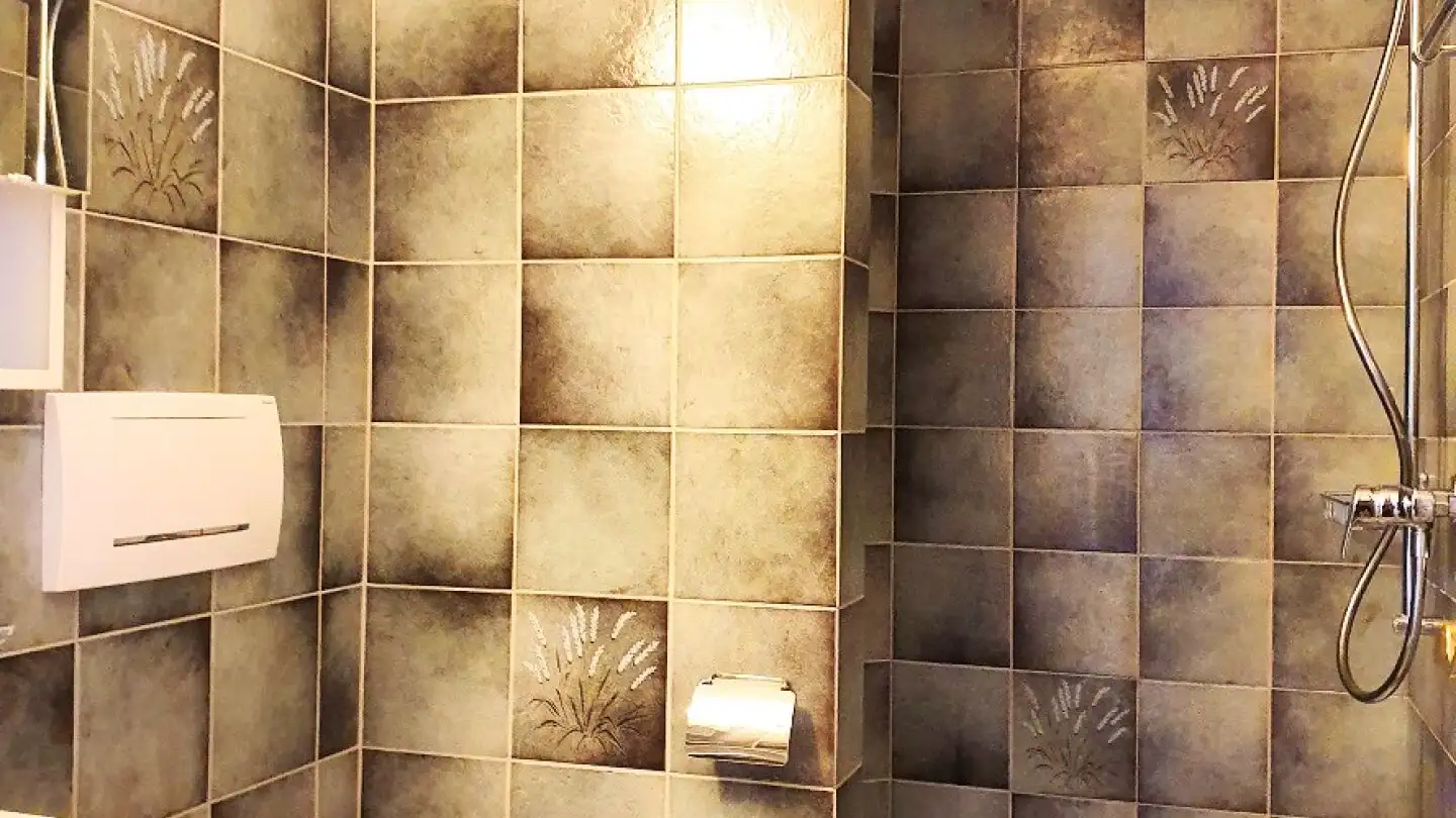 Appartement à louer - Neudorfstrasse 7, 9533 Kirchberg SG - Photo 2