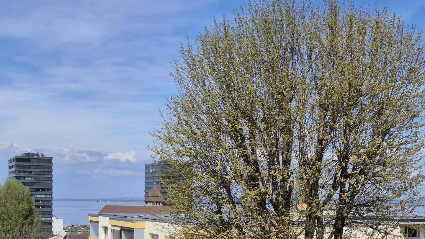 Attico in affitto - Sulzbachstrasse 4, 9404 Rorschacherberg - Foto 2