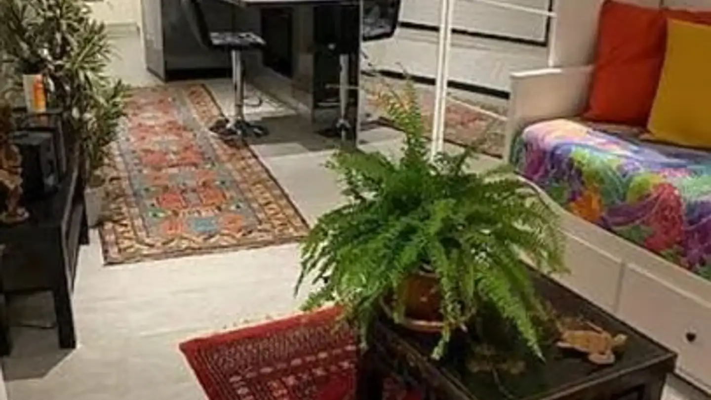 Appartement à louer - Via Rivapiana, 6600 Muralto - Photo 4