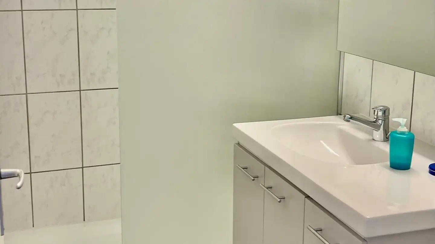 Appartamento in affitto - Maihölzlistrasse 19, 5621 Zufikon - Foto 4