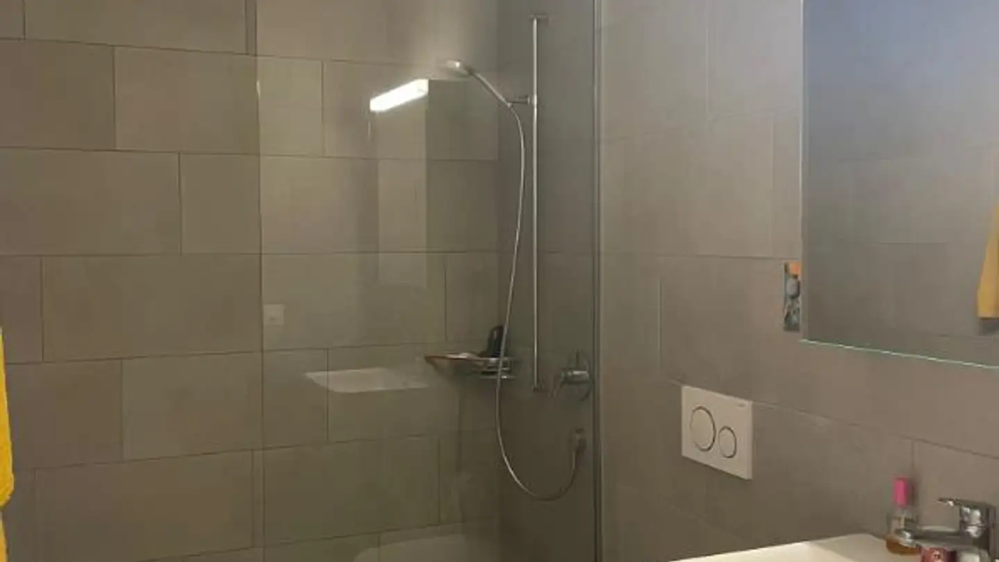 Apartment for rent - Butzenstrasse 130, 8041 Zürich - Photo 4