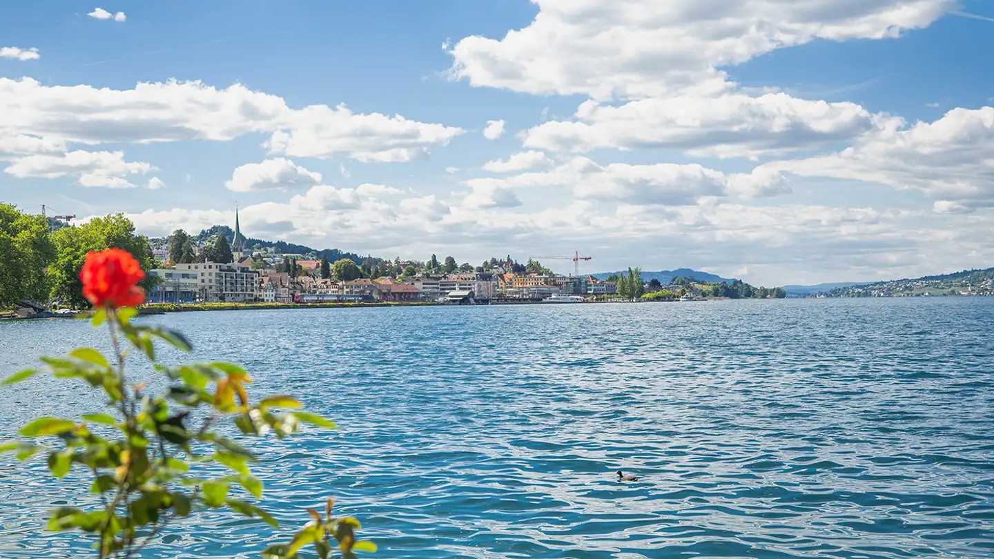 Wohnung mieten - Giessen 8, 8820 Wädenswil - Foto 4