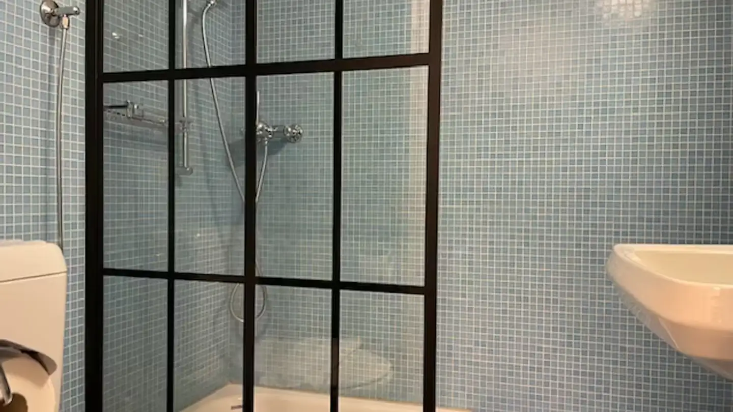 Appartement à louer - Wettingerwies, 8001 Zürich - Photo 4
