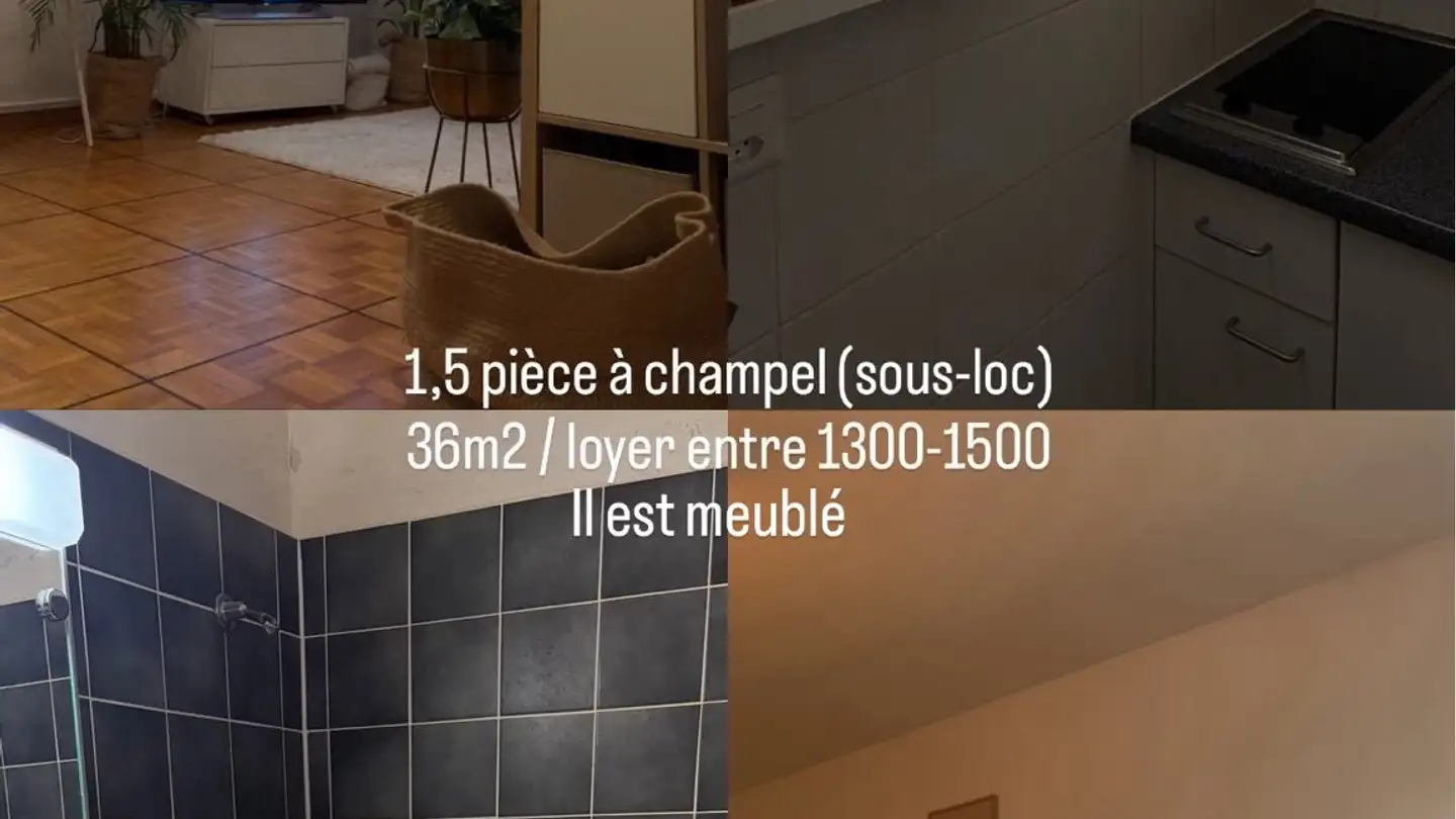 Apartment for rent - 1206 Genève
