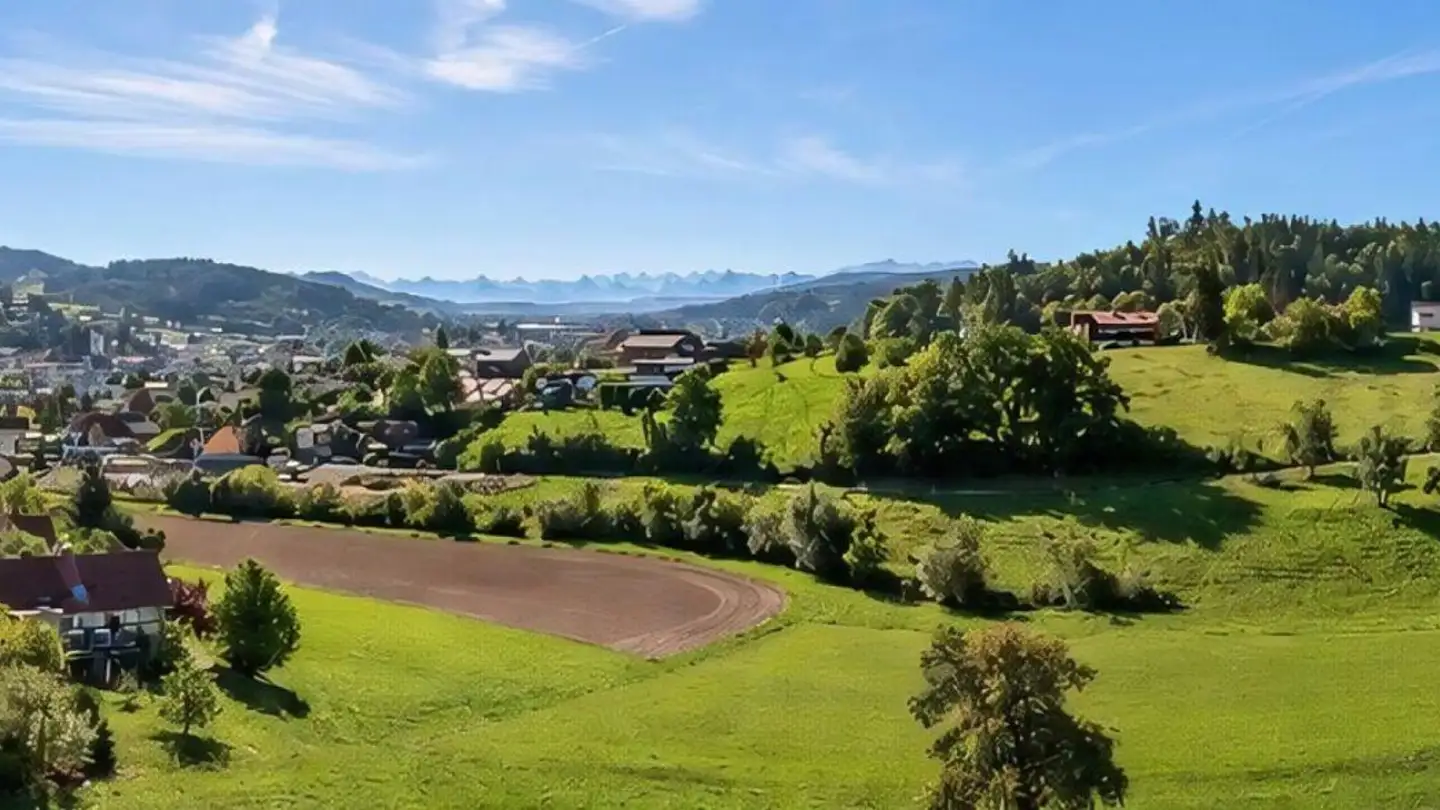 Maison individuelle à vendre - Binzhaldenstrasse 49, 5726 Unterkulm - Photo 3