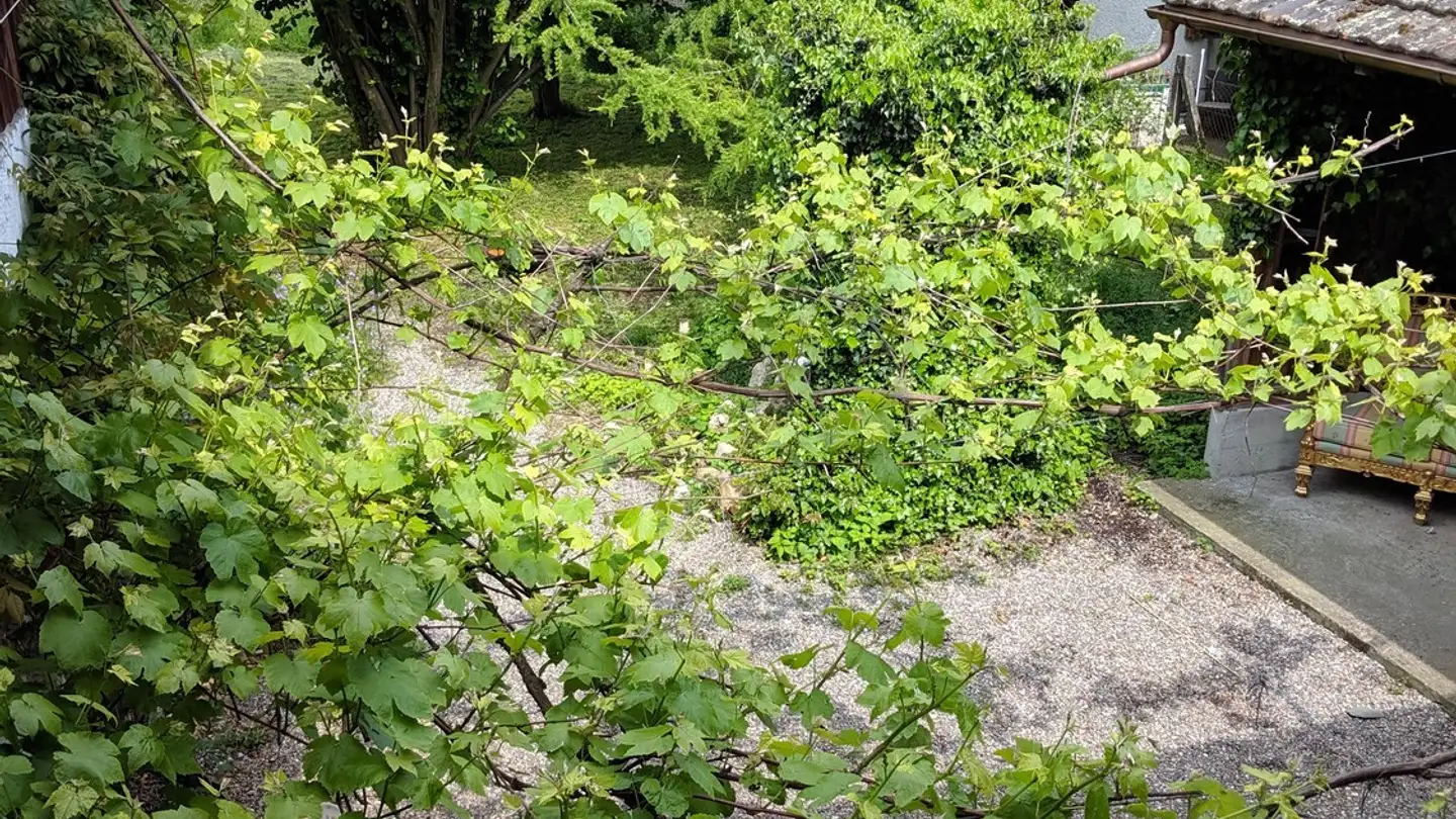 Appartement à louer - 4314 Zeiningen - Photo 2