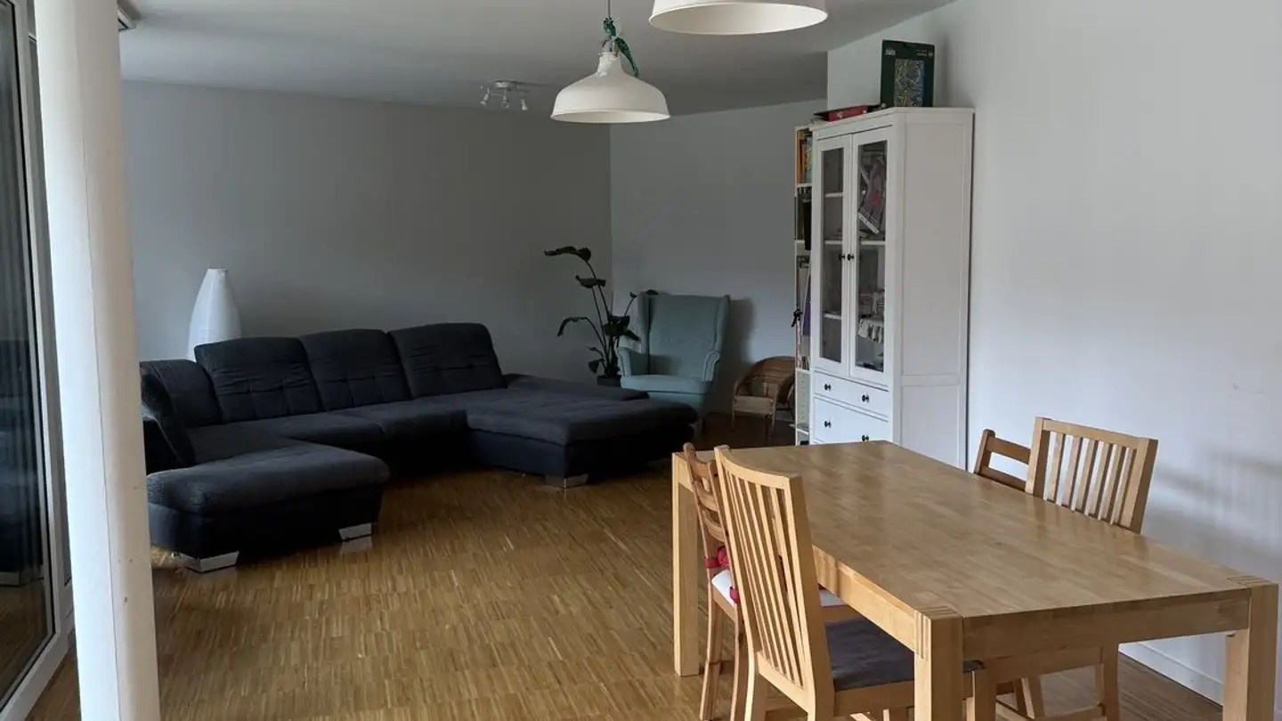 Appartamento in affitto - Salamanderweg, 8134 Adliswil - Foto 2