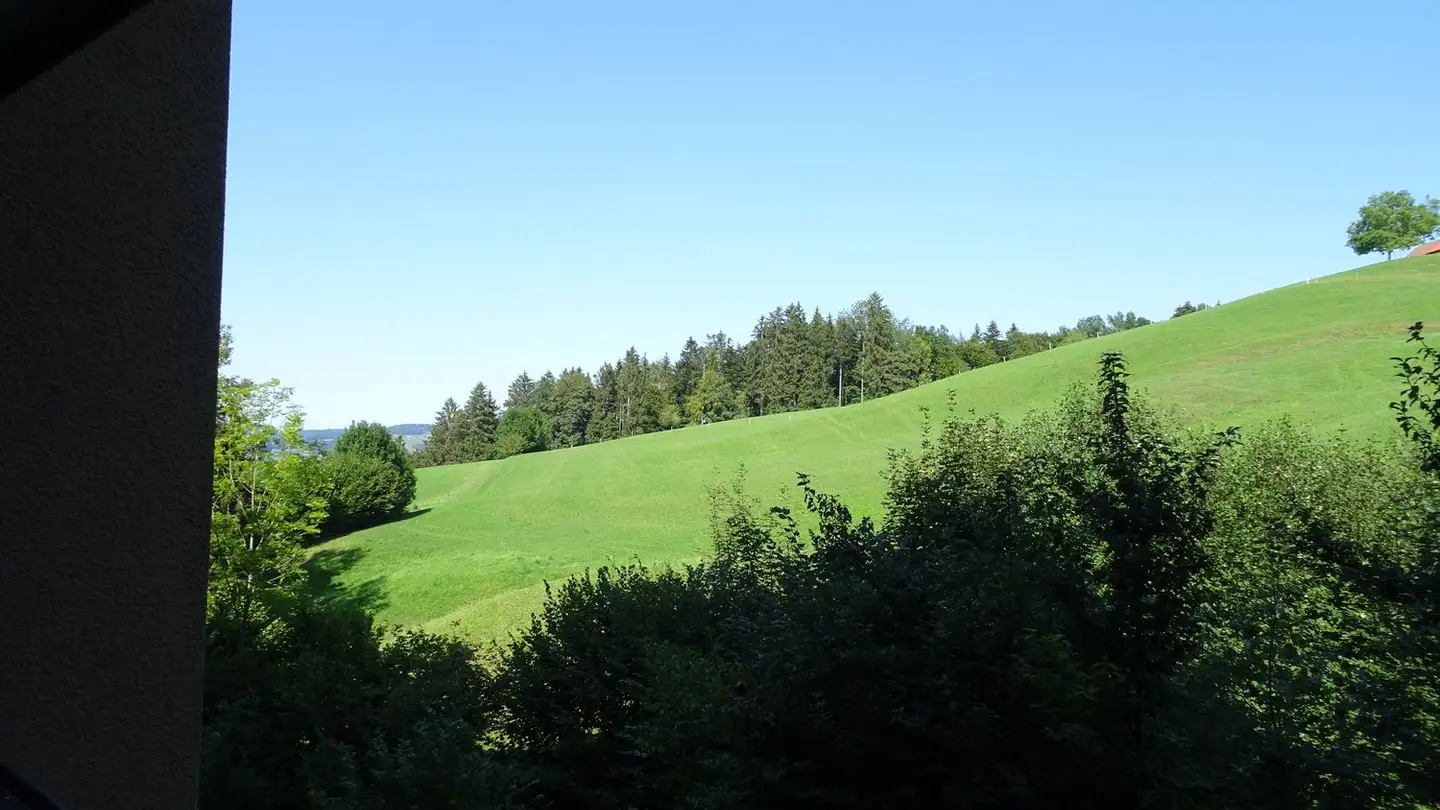 Appartamento in affitto - Scheibe 41, 9100 Herisau - Photo 3