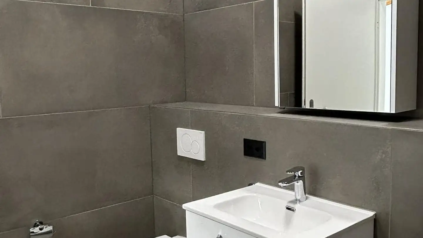 Commercial à louer - Neugütlistrasse 1, 9220 Bischofszell - Photo 4