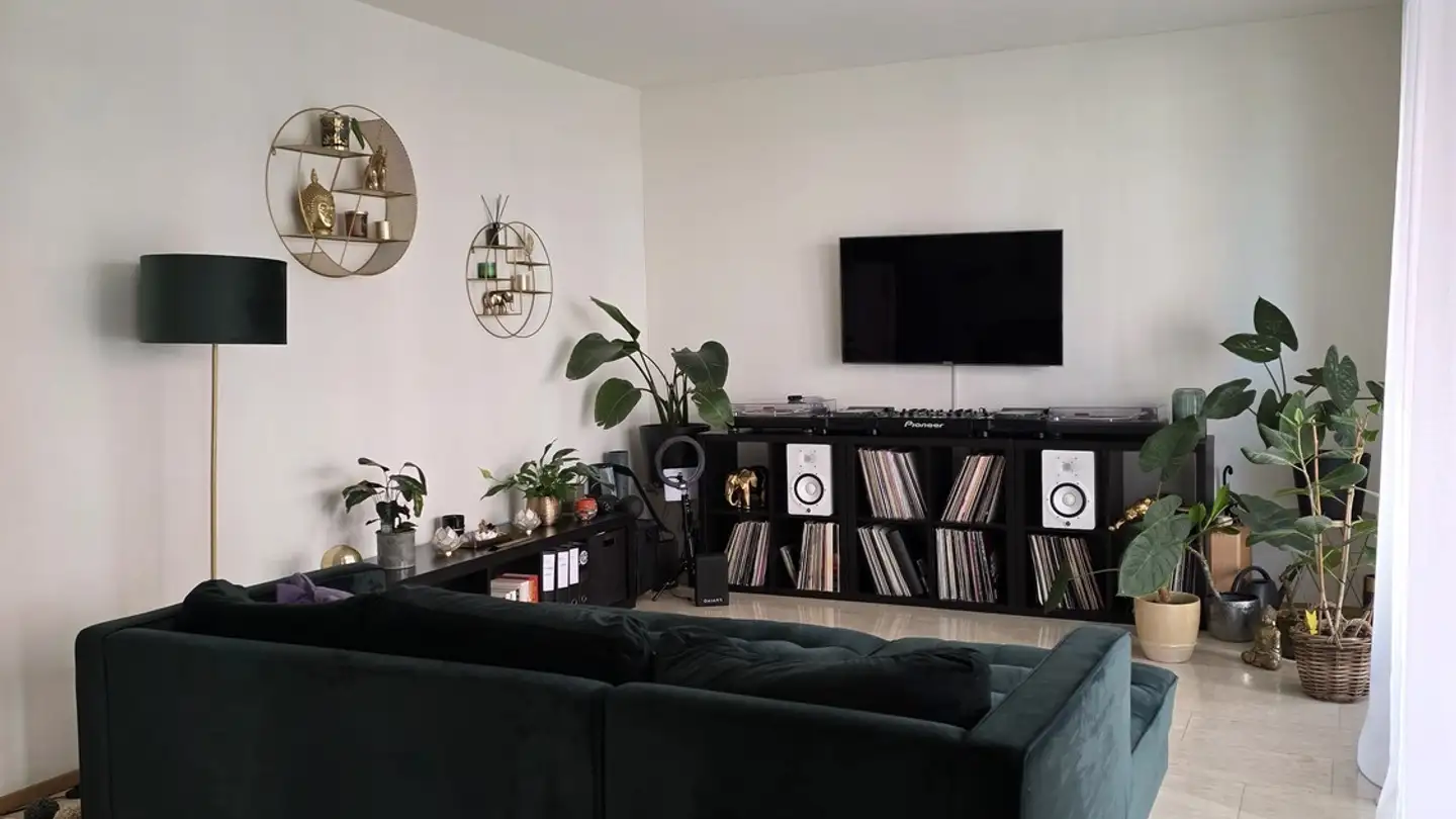 Appartamento ammobiliato in affitto - Am Stadtrand 29, 8600 Dübendorf