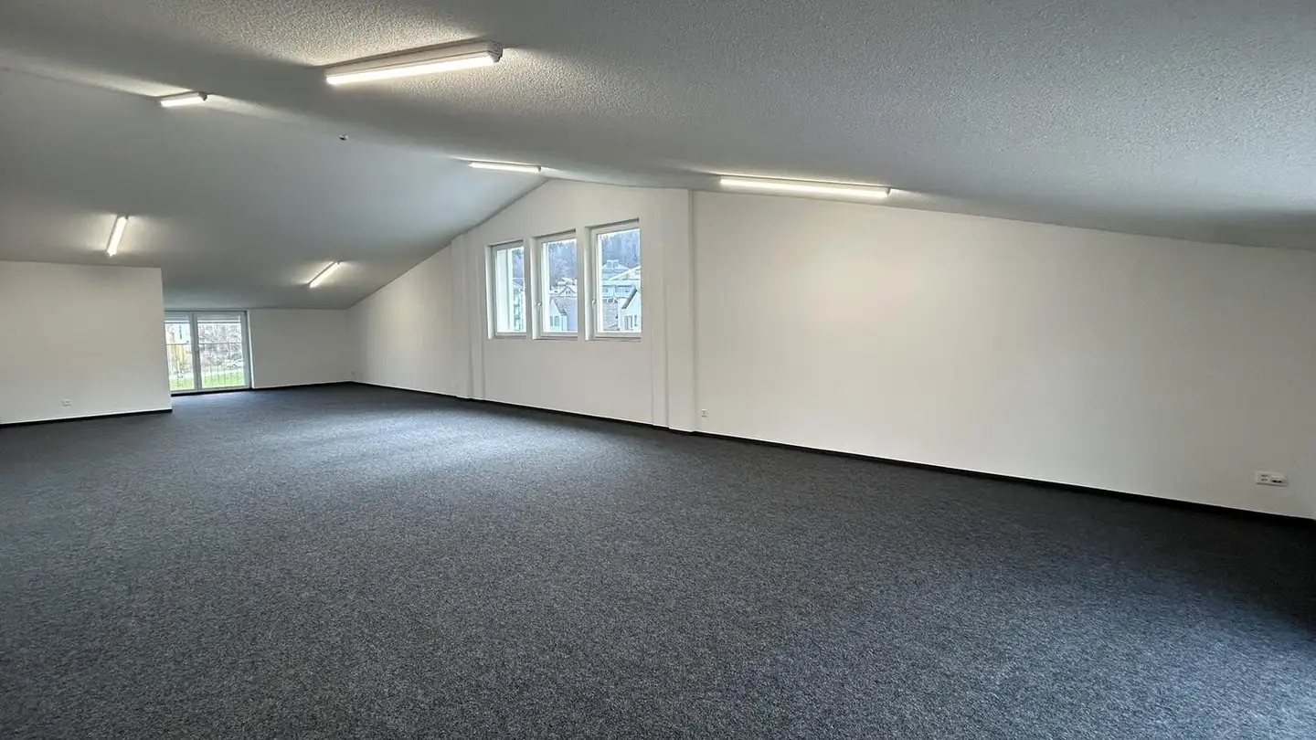 Commercial à louer - Neugütlistrasse 1, 9220 Bischofszell - Photo 3