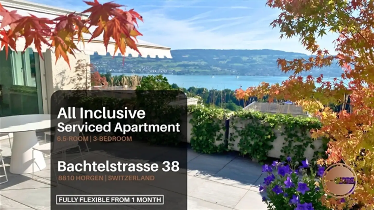 Appartement meublé à louer - 8810 Horgen
