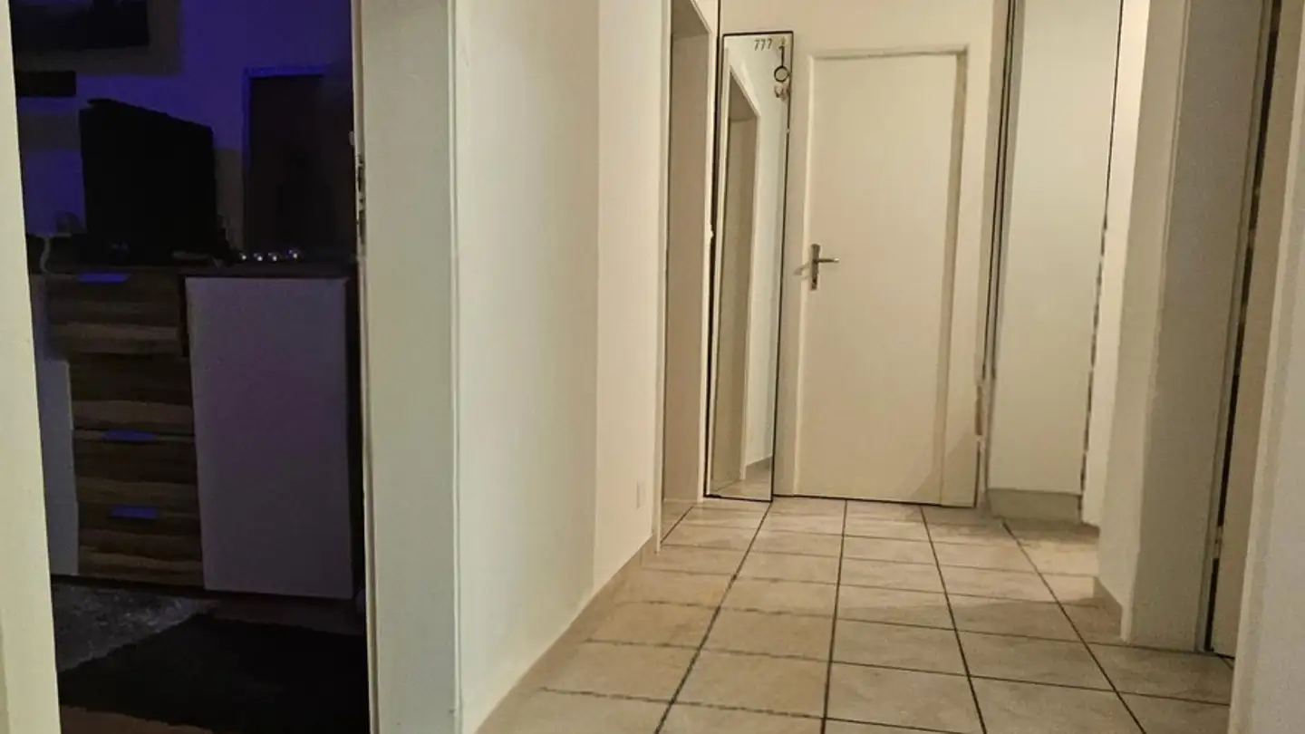 Appartamento in affitto - Bollwerkstrasse 60, 4102 Binningen - Foto 3