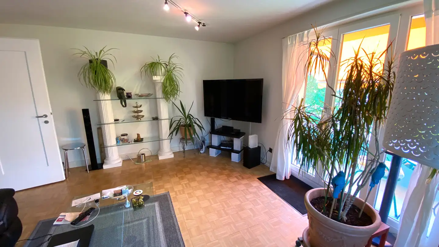 Maison individuelle à louer - 8406 Winterthur