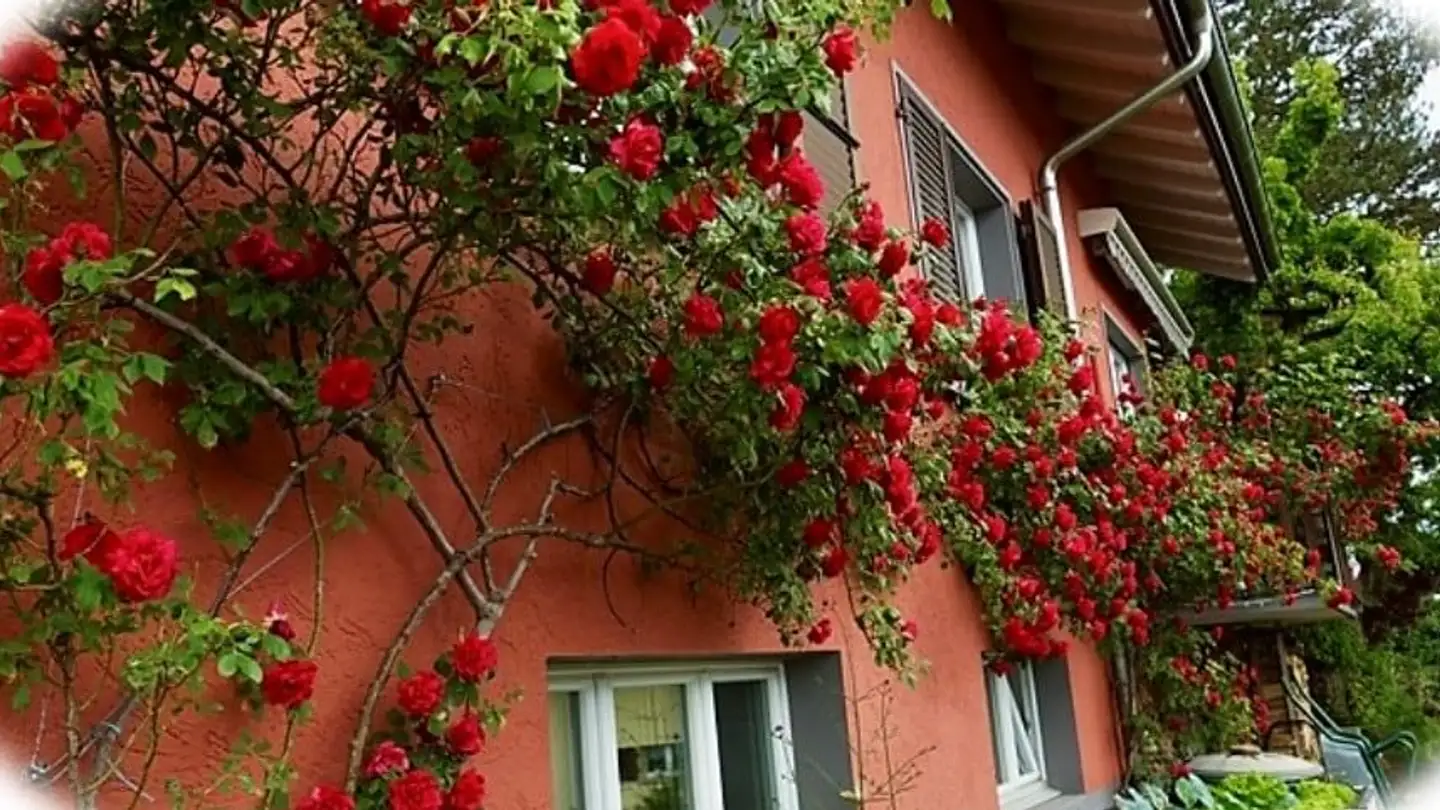 Single house for sale - Sonnenbergstrasse, 5734 Reinach AG - Photo 2