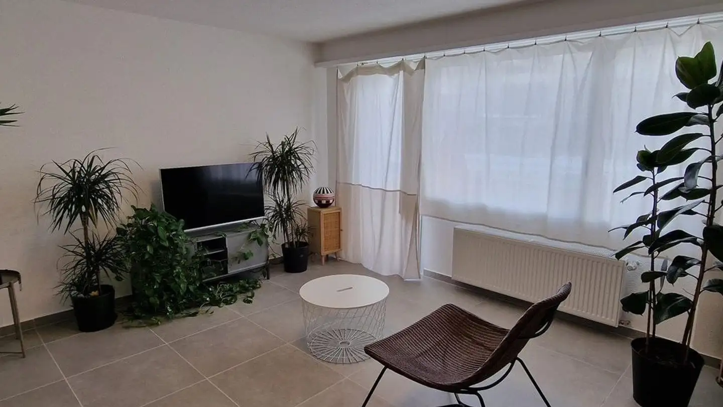Wohnung mieten - Rothüslifeldstrasse 4, 5737 Menziken