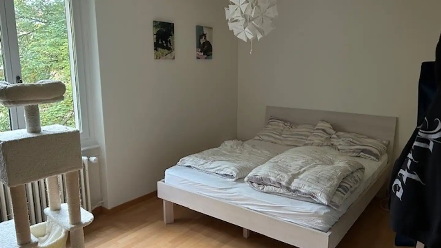 Appartamento in affitto - Waldstrasse 18, 8125 Zollikerberg