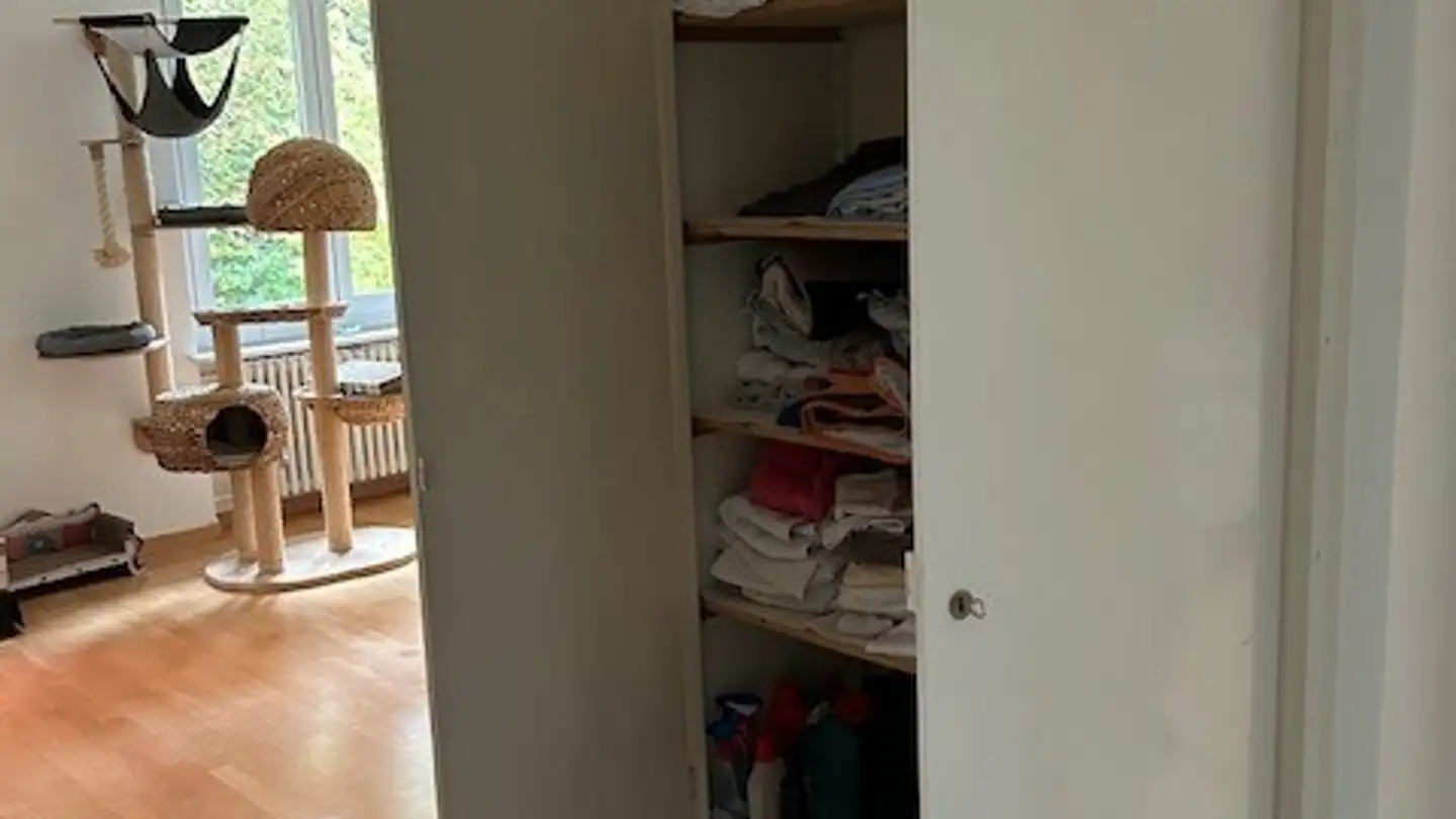 Appartamento in affitto - Waldstrasse 18, 8125 Zollikerberg - Foto 2