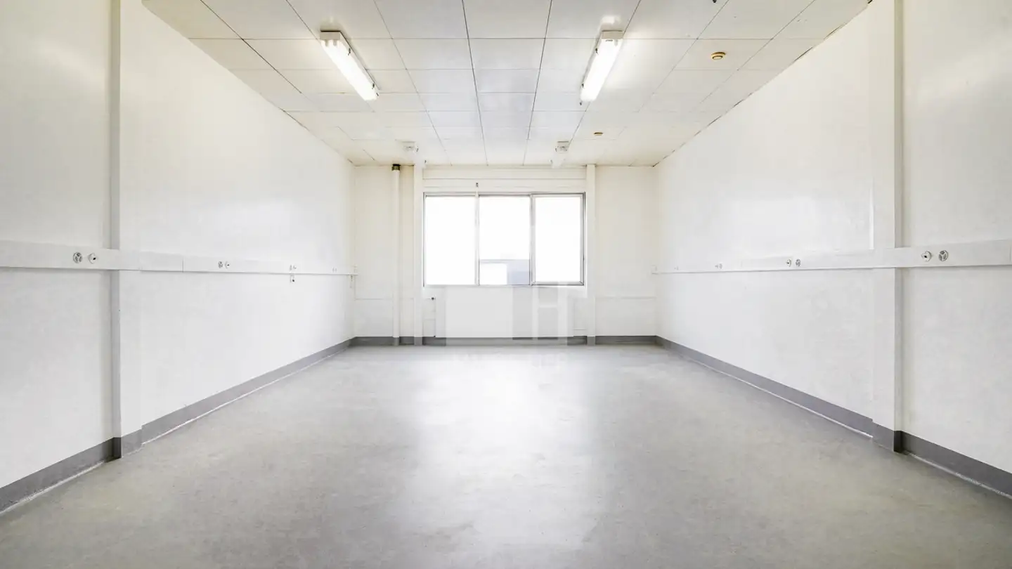 Commercial à louer - Chemin Des Léchères 1, 1217 Meyrin